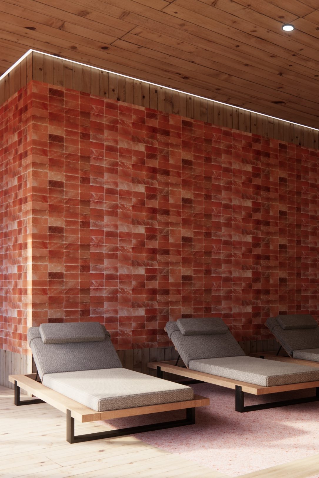 Himalayan salt room 